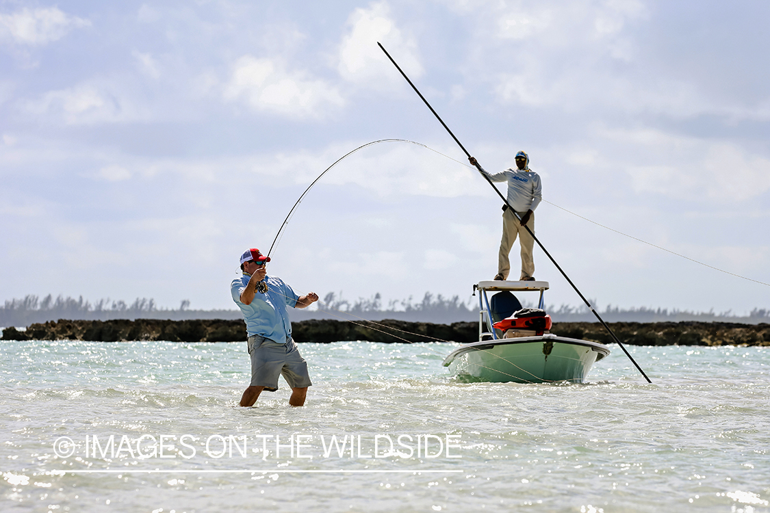 Flyfisherman fighting bonefish.