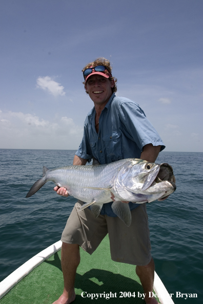 Flyfisherman w/tarpon 