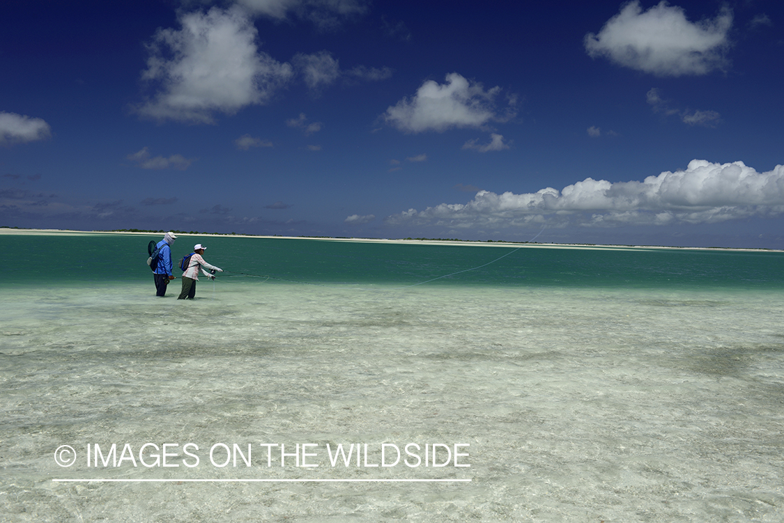 Flyfishing for Peachy Triggerfish on flats.