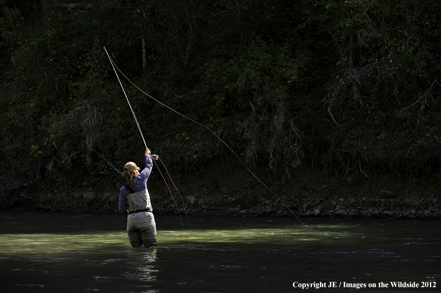 Flyfisher on river.