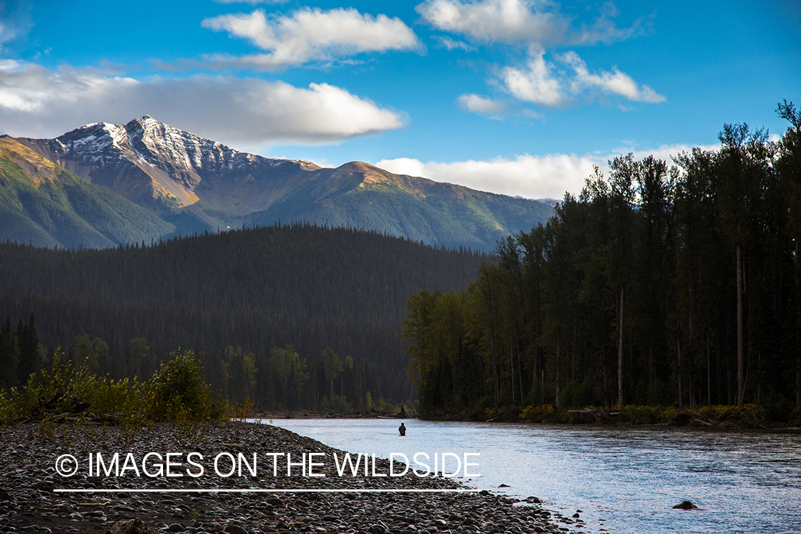 Flyfishing for steelhead on Nass River, British Columbia.