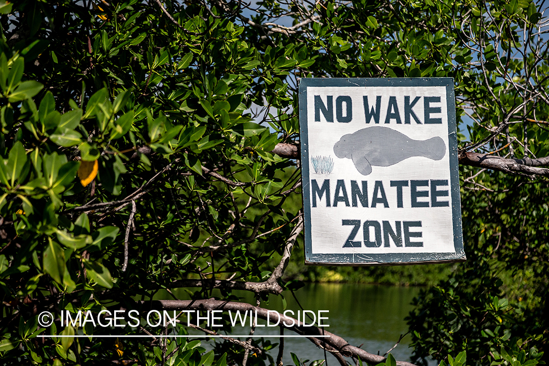 Manatee sign.