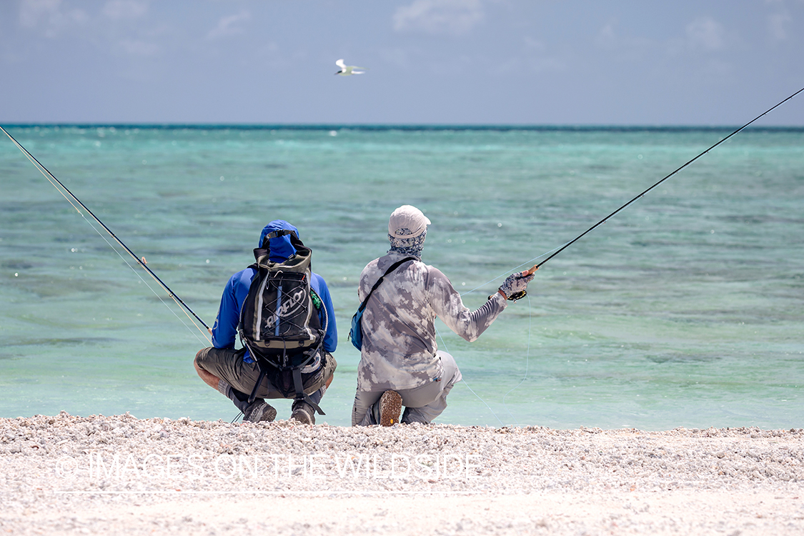 Flyfisherman on St. Brandon's Atoll flats, Indian Ocean.