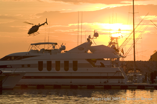 Deep sea fishing charter boat in marina.