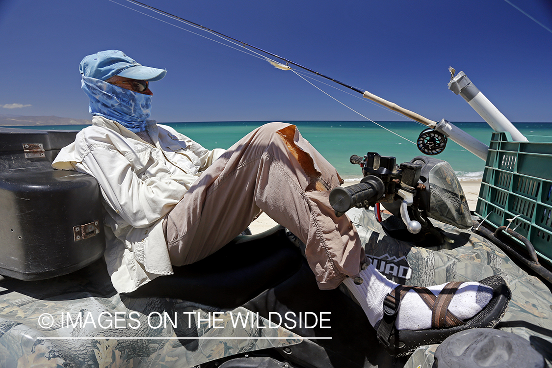 Chasing roosterfish on Baja Peninsula, Mexico.