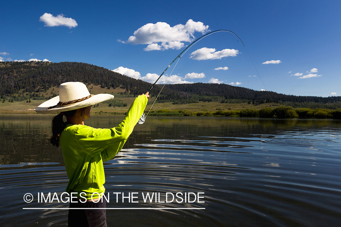 Woman flyfisher fighting trout.