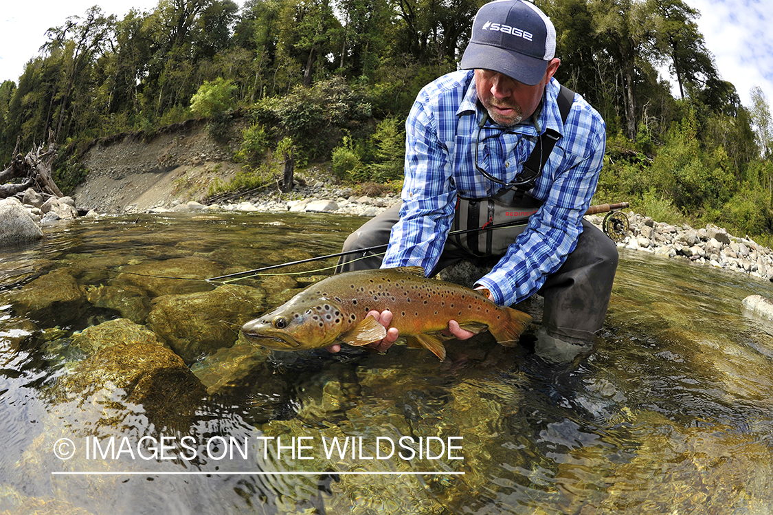 Fisherman with brown trout.