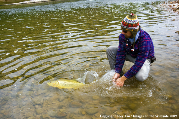 Flyfisherman releasing a Golden Dorado