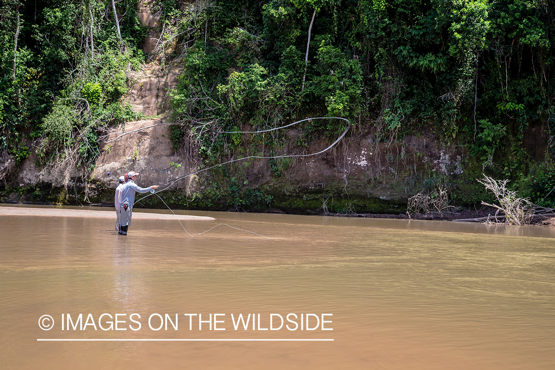 Flyfishing for Golden Dorado in Bolivia.