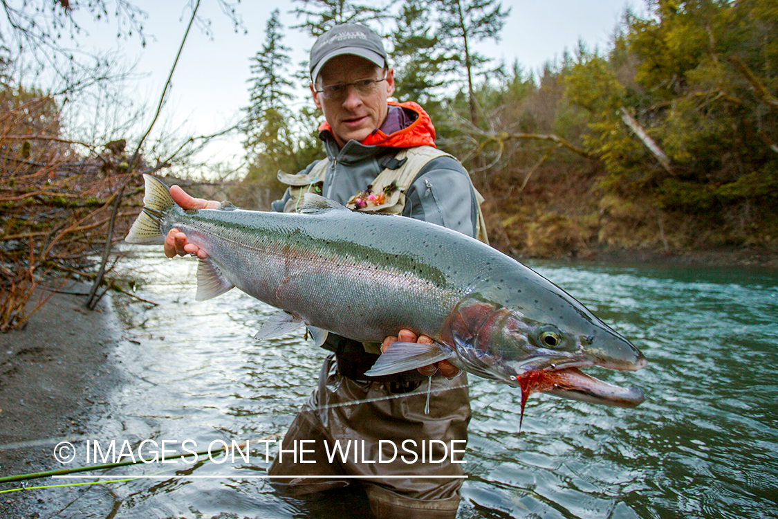 Flyfisherman with steelhead.