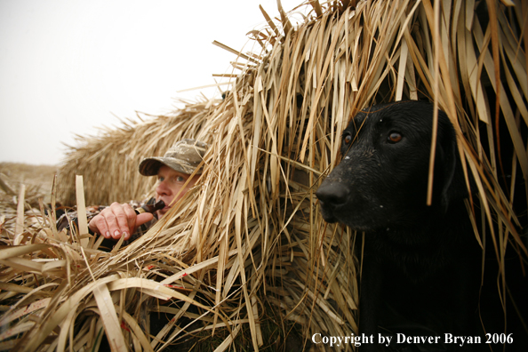 Duck hunting in winter