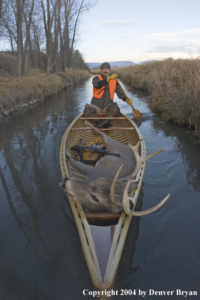 Big game hunter paddling canoe with bagged white-tailed deer in bow.