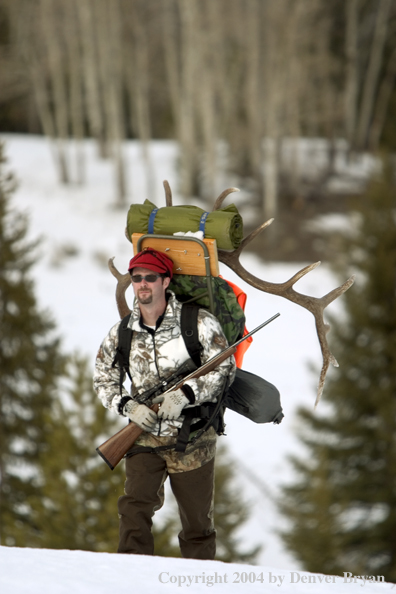 Big game hunter packing elk rack out on snowshoes.