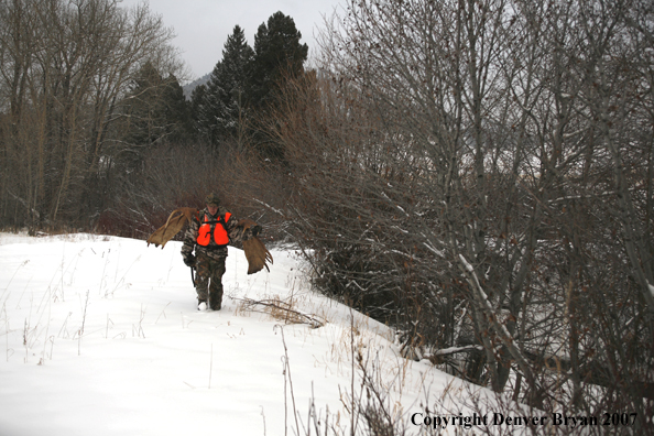 Moose hunter in field