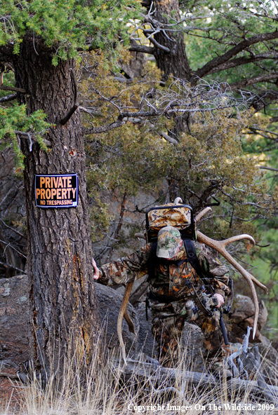 Bowhunter in field with elk rack.