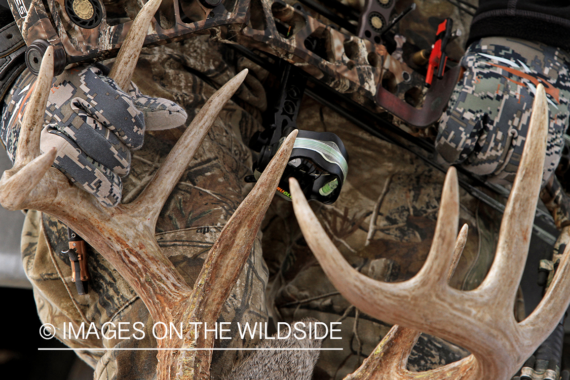 Bowhunter wearing trigger release holding bagged white-tailed buck antlers.