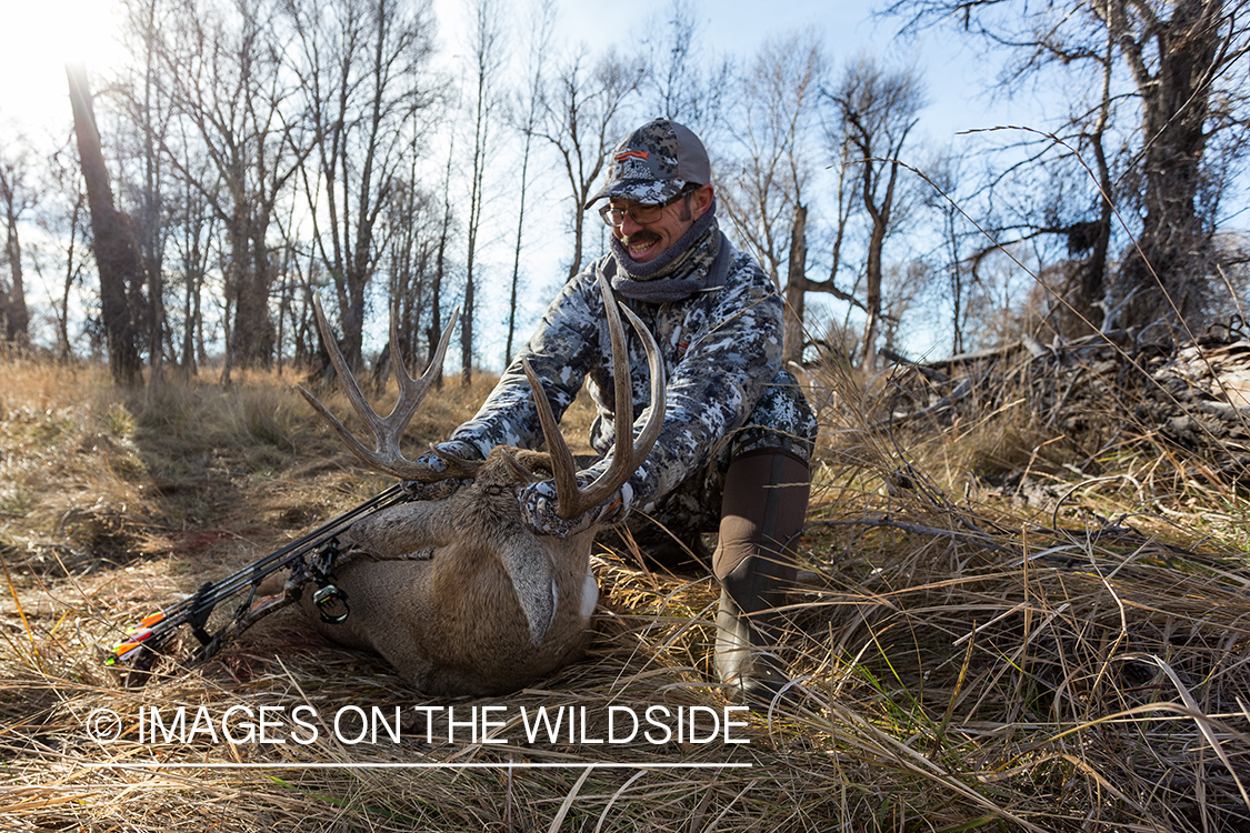 Bow hunter with downed white-tailed deer.