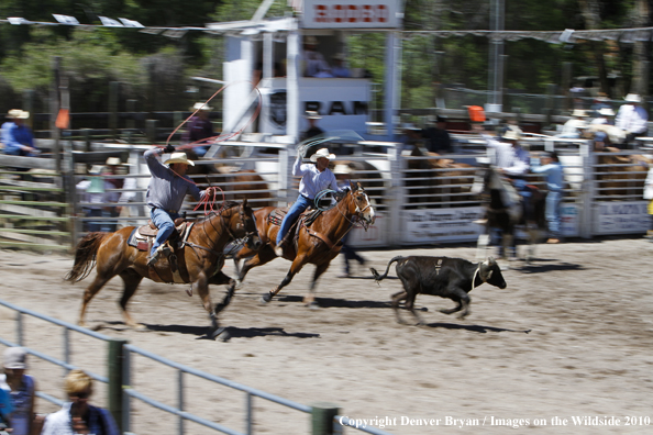 Augusta Rodeo