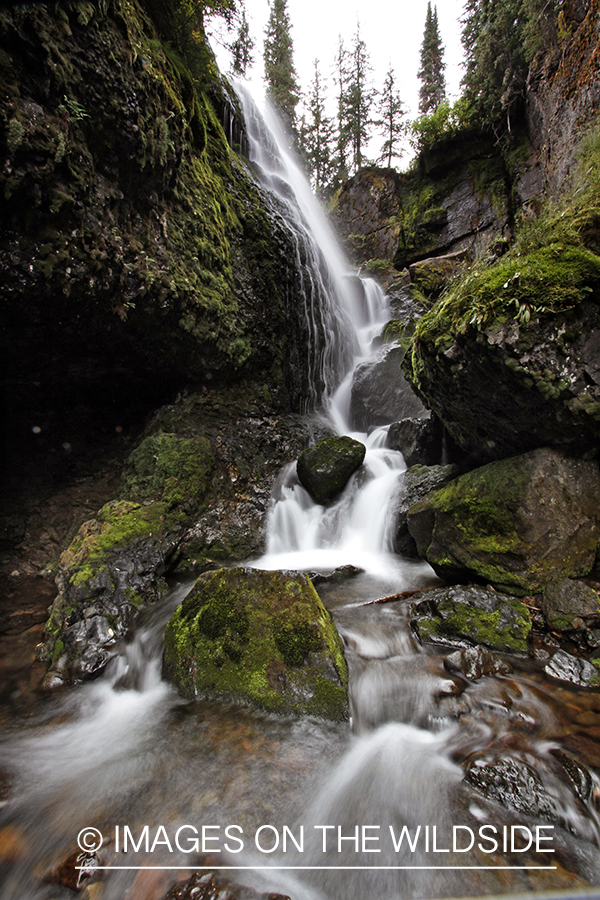 Waterfall in the Rocky Mountains.