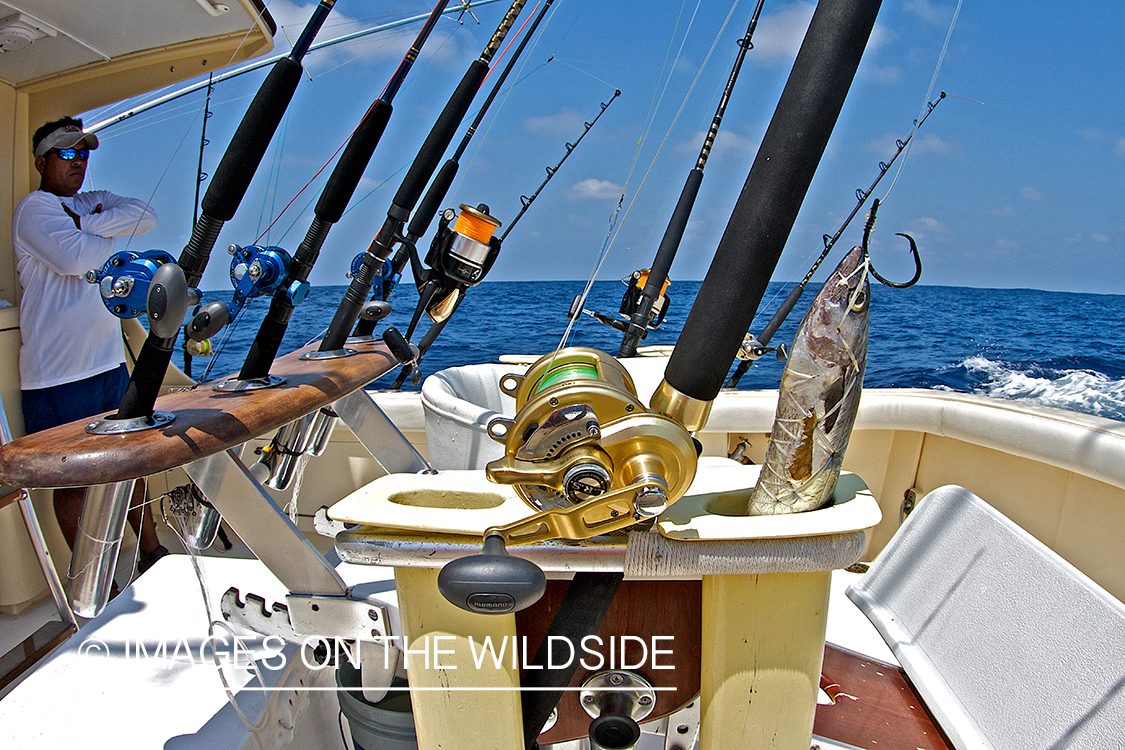 Fishermen on deep sea fishing boat with fishing rods.