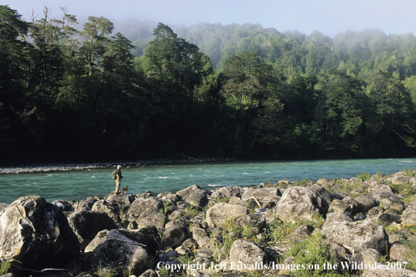 Flyfisherman with dog