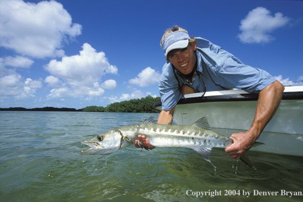 Saltwater flyfisherman releasing barricuda.