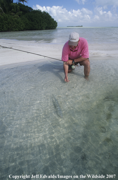 Angler releases a bonefish. 