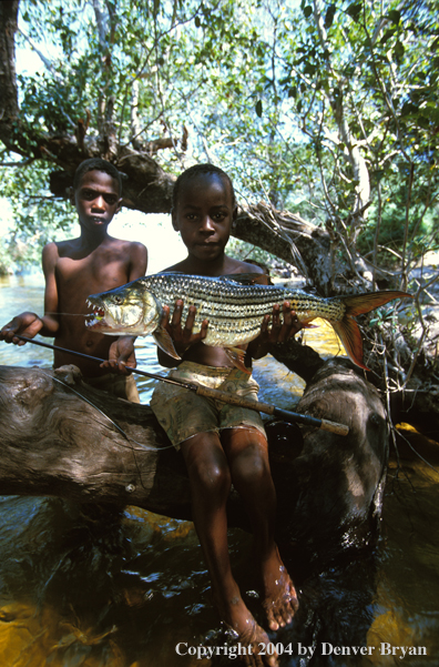 Child holding African tigerfish.