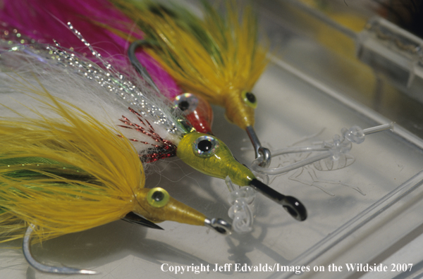 Close-up of tarpon flies