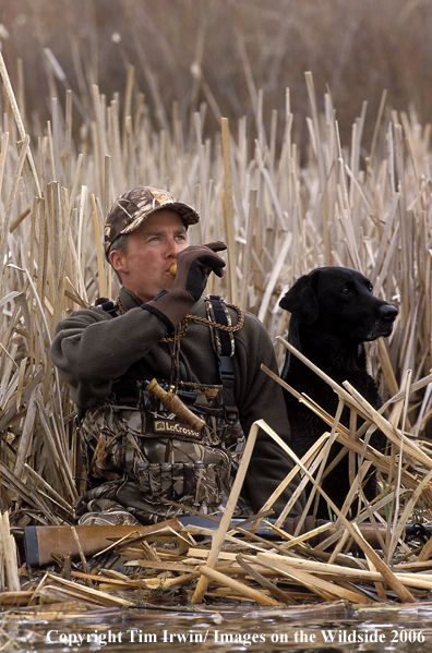 Waterfowl hunter calling.