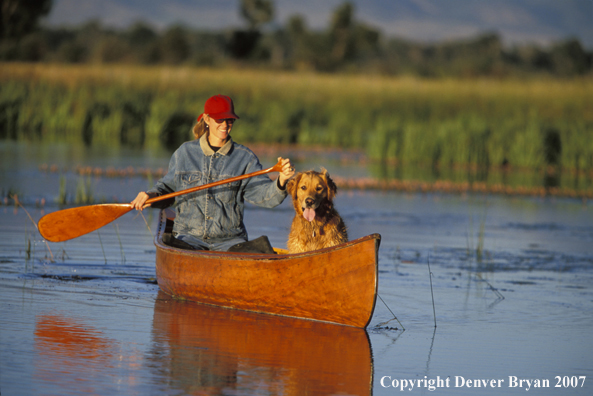 Woman canoeing with golden Retriever