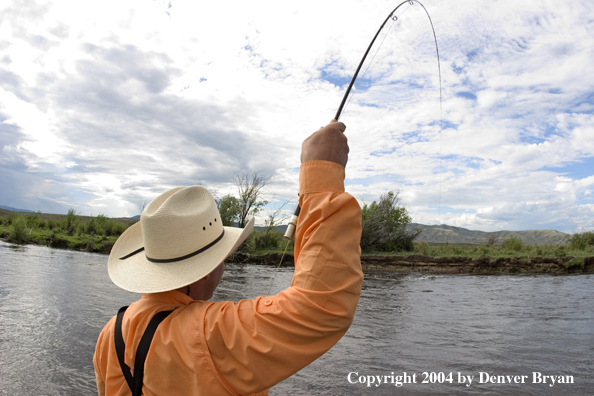 Flyfisherman playing fish.