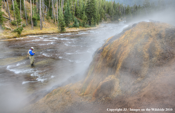 Gibbon River, Yellowstone National Park.