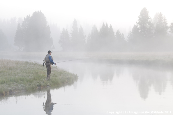 Flyfishing on the Gibbon River, Yellowstone National Park. 