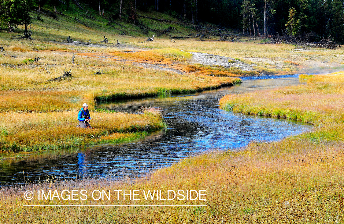 Flyfishing on Nez Perce Creek, YNP.