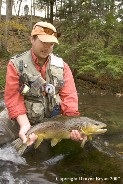 Close-up of nice brown trout.