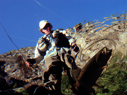 Flyfisherman with brown