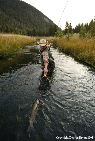 Flyfisherman with Rainbow Trout