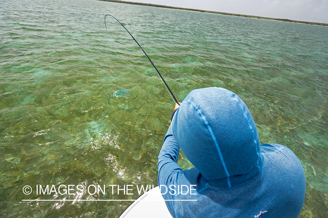 Flyfishing for Bonefish and Permit.