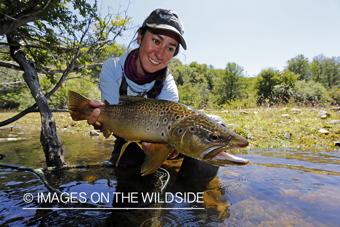 Flyfishing woman releasing brown trout.