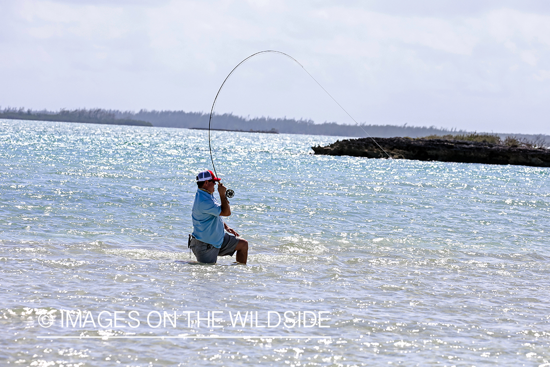 Flyfisherman fighting bonefish.