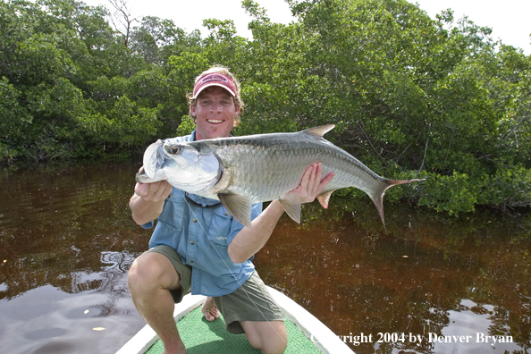 Flyfisherman w/tarpon 