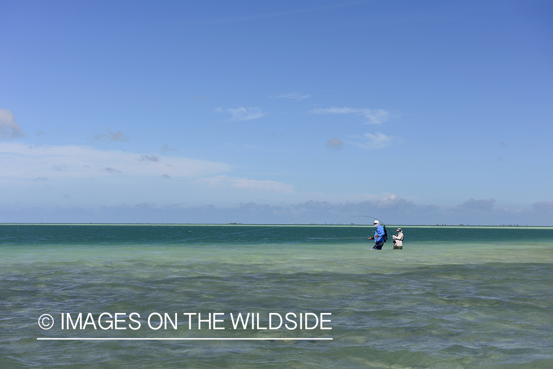 Flyfishing for Peachy Triggerfish on flats.