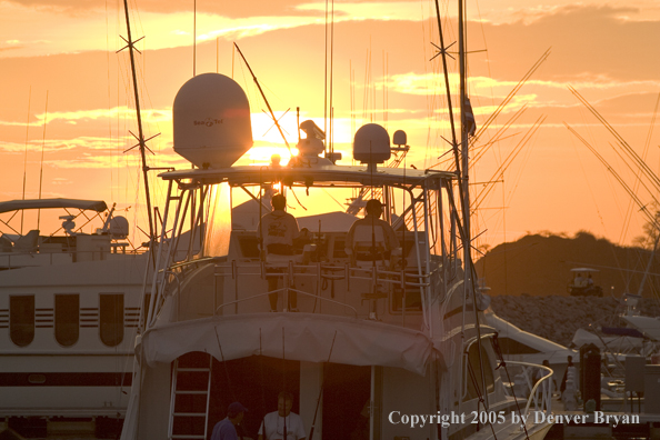 Deep sea fishing charter boat in marina.