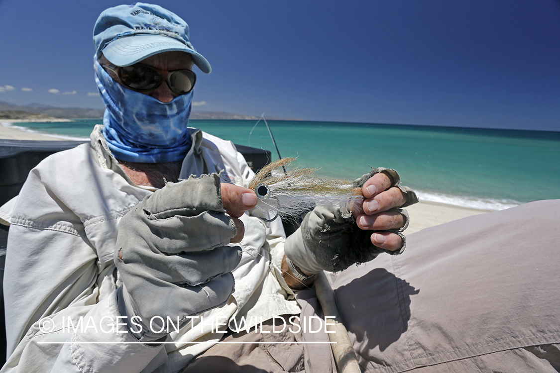 Chasing roosterfish on Baja Peninsula, Mexico.