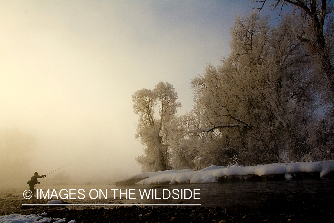 Fly fisherman in early morning fog in winter.