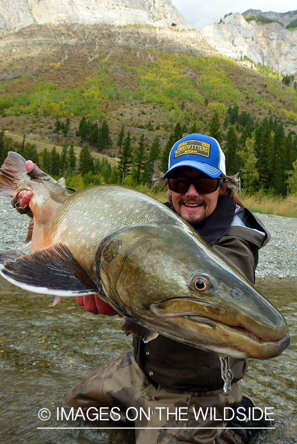 Flyfisherman with bull trout.