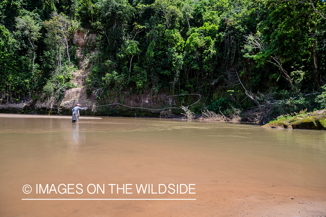 Flyfishing for Golden Dorado in Bolivia.