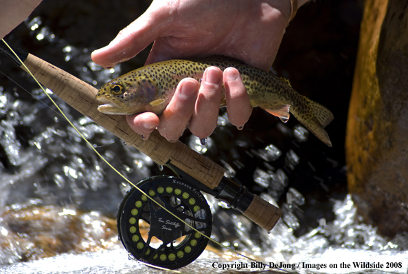 Flyfisherman with rainbow trout