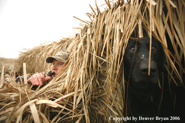 Duck hunting in winter